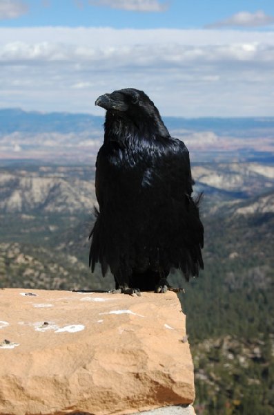 Bryce Canyon National Park United States Album Photographs