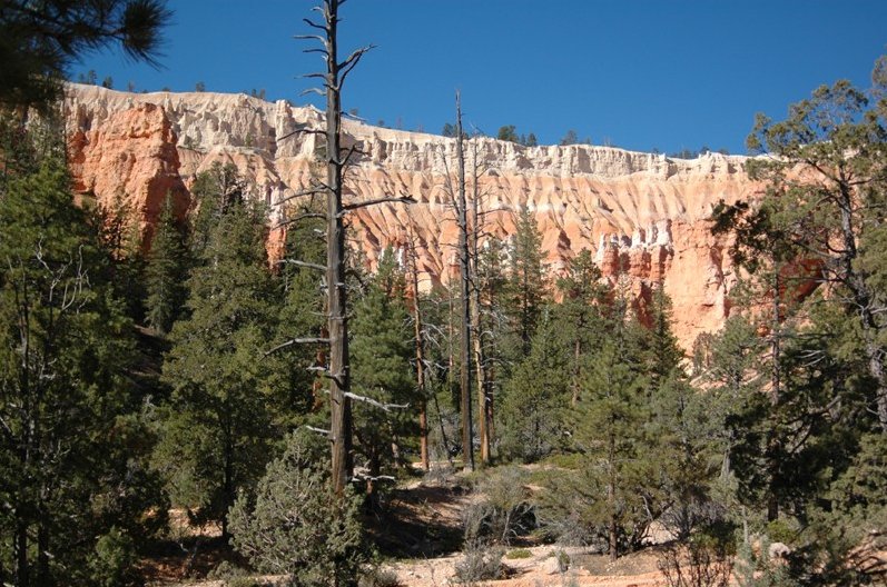   Bryce Canyon United States Vacation Photo