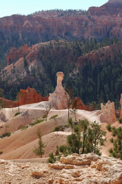   Bryce Canyon United States Diary Information
