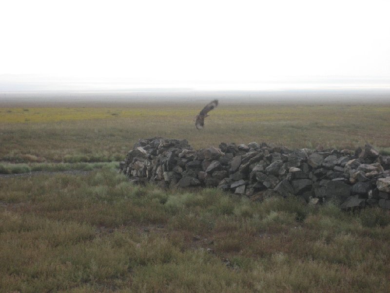 Photo The Gobi Desert in Mongolia located