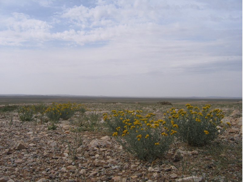Photo The Gobi Desert in Mongolia therefor