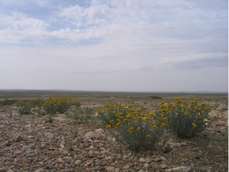 The Gobi Desert in Mongolia Kharkhorin Travel