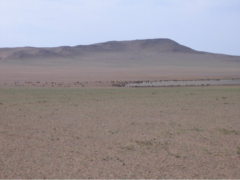 The Gobi Desert in Mongolia Kharkhorin Travel Blog