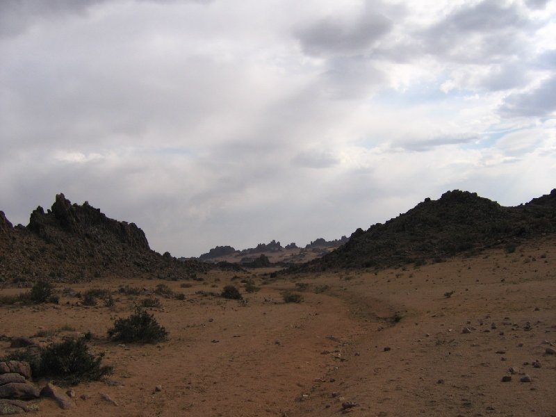 Photo The Gobi Desert in Mongolia families