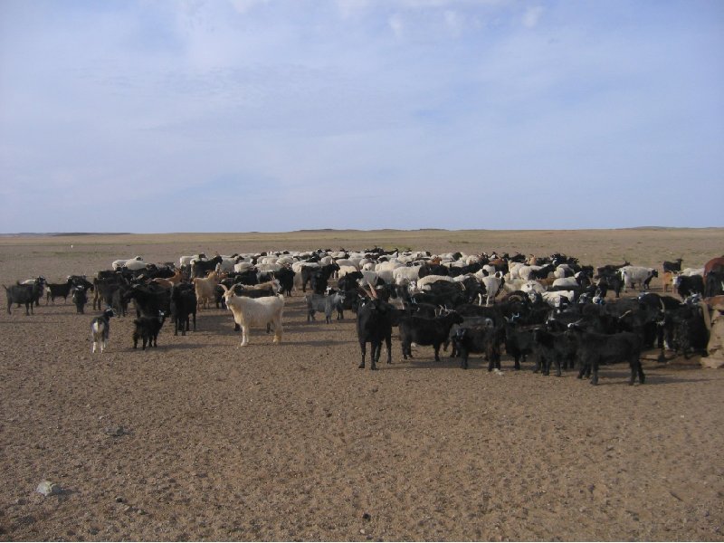 The Gobi Desert in Mongolia Kharkhorin Vacation Diary