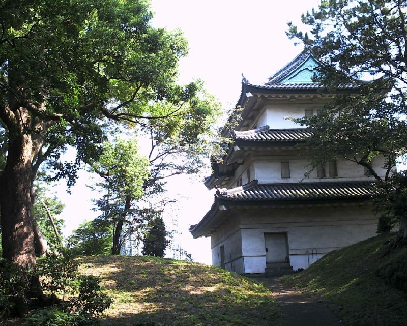   Tokyo Japan Trip Photo
