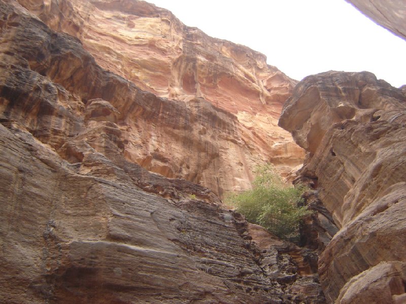 Petra and Wadi Rum tours Jordan Blog Experience