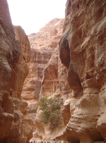   Petra Jordan Vacation Information