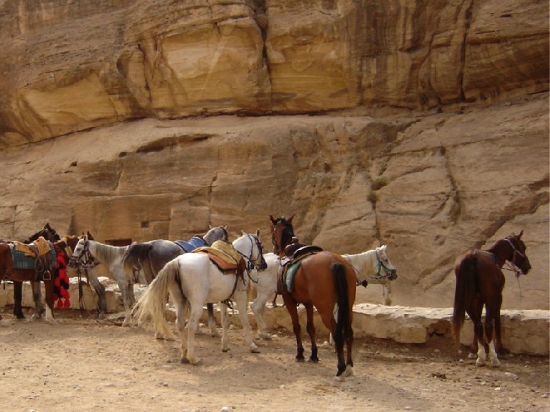 Photo The great temple of Petra describe