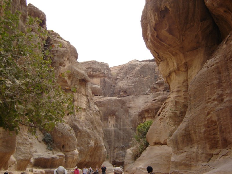 Petra and Wadi Rum tours Jordan Album Photographs