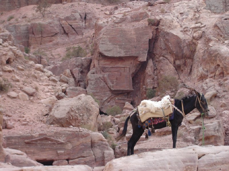 Photo The great temple of Petra between