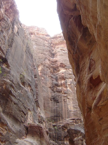 Photo The great temple of Petra special