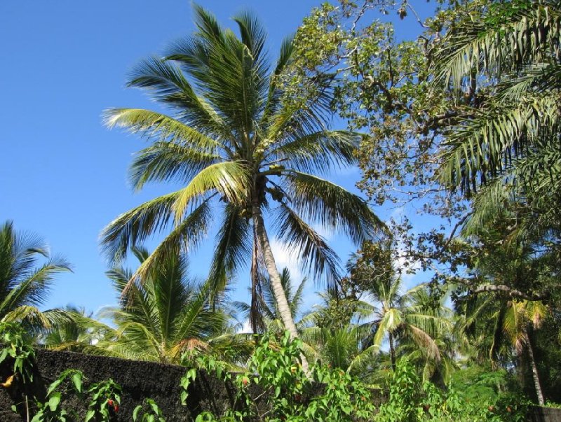 Porto Seguro Brazil 