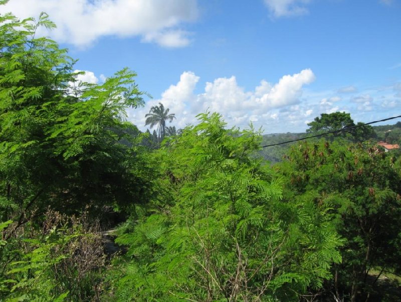 Porto Seguro Brazil 