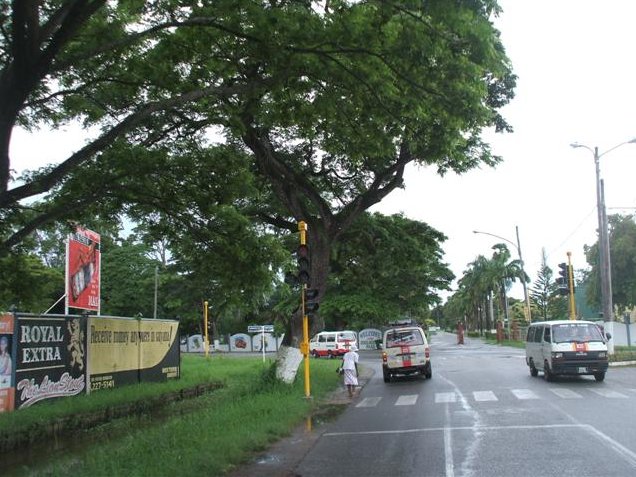 Georgetown's Botanical Gardens Guyana Photo