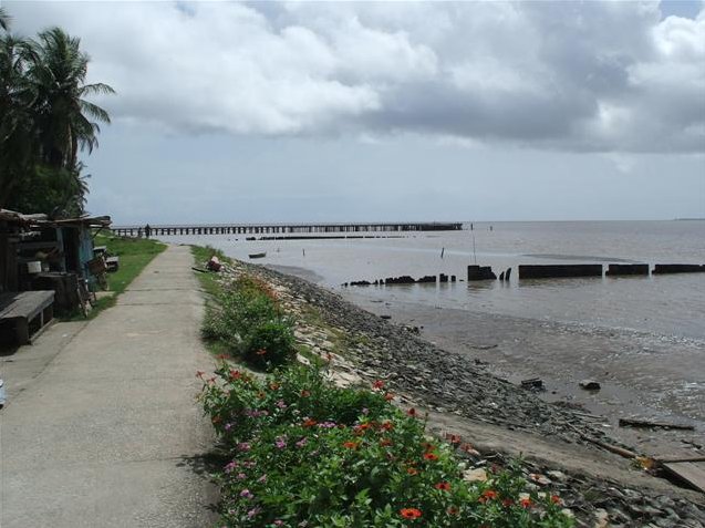 Georgetown's Botanical Gardens Guyana Blog Photo