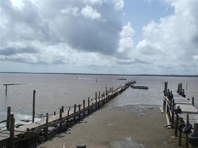 Georgetown's Botanical Gardens Guyana Blog Sharing
