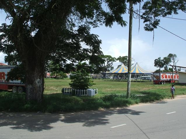 Georgetown's Botanical Gardens Guyana Travel Experience