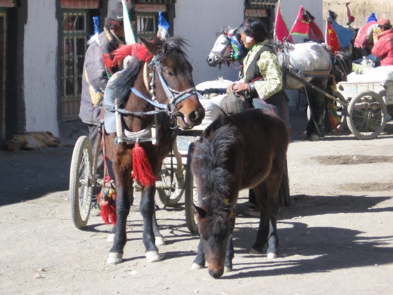   Tibet China Travel Photographs