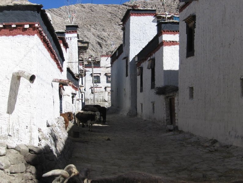  Tibet China Travel Adventure