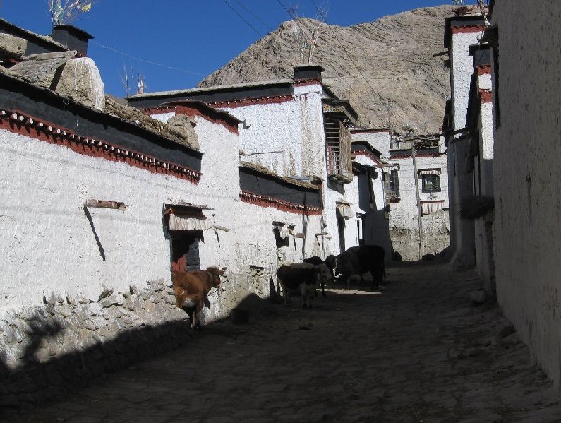 Photo Trip to Tibet search