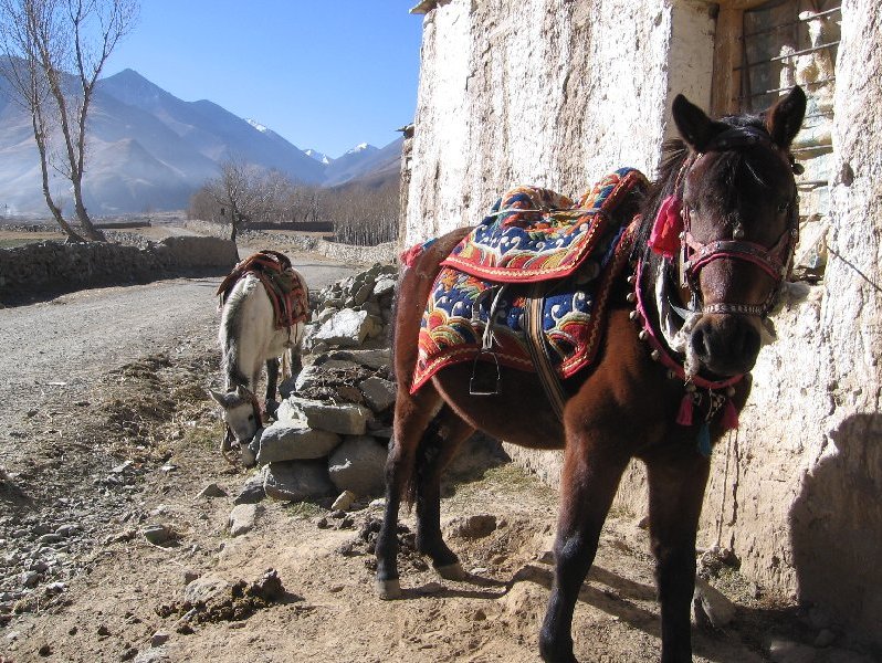   Tibet China Album