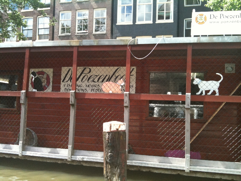 Photo Amsterdam canal boat rides tourists