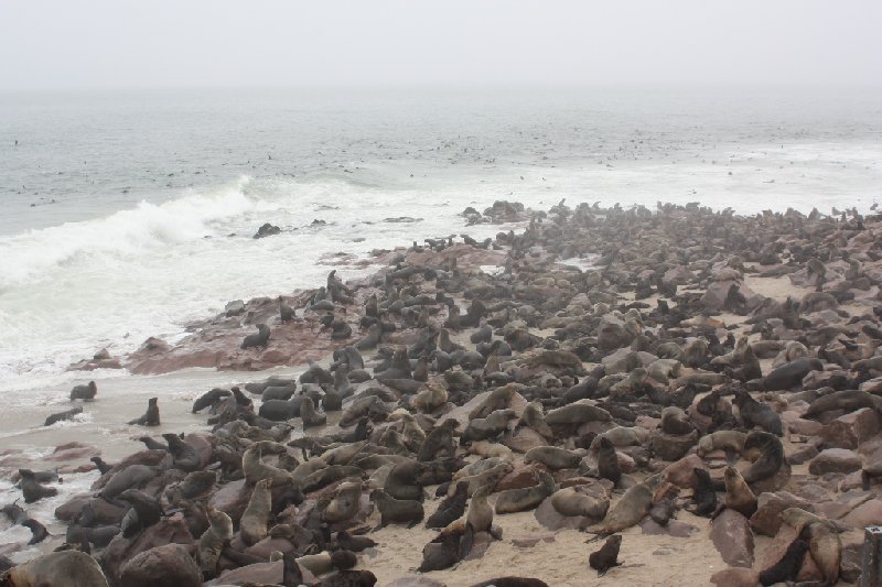   Cape Cross Namibia Information