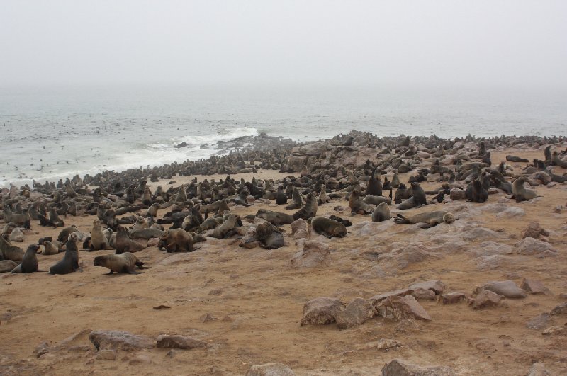 Cape Cross Namibia 