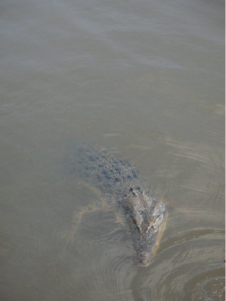 Jumping crocodiles in Darwin Australia Travel Adventure