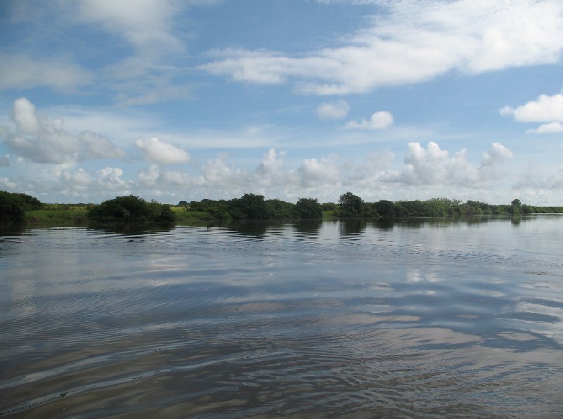 Jumping crocodiles in Darwin Australia Album Pictures