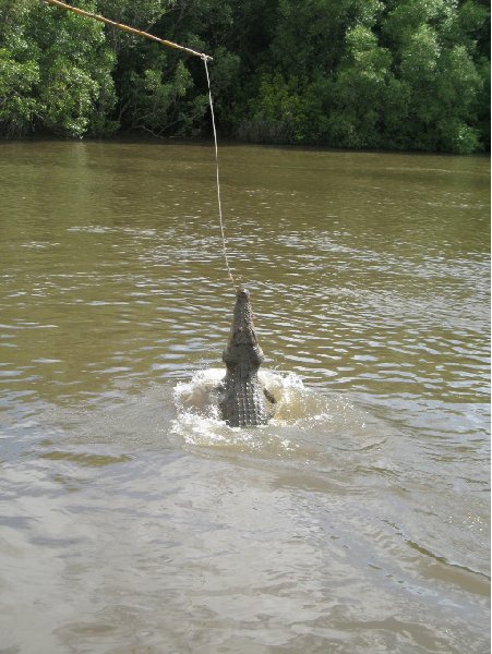 Jumping crocodiles in Darwin Australia Travel Blog