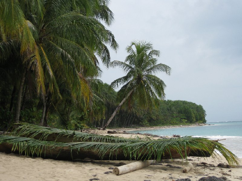   Bocas del Toro Panama Holiday Pictures