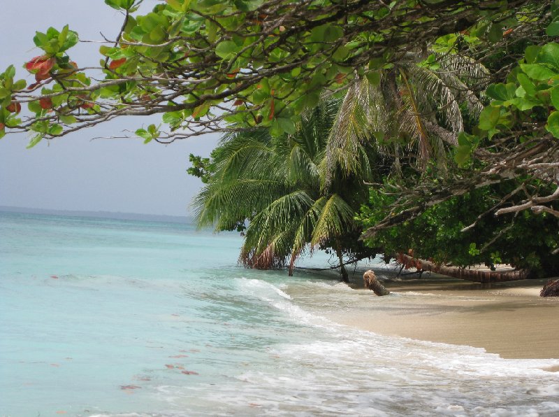Bocas del Toro on Isla Colon Panama Trip