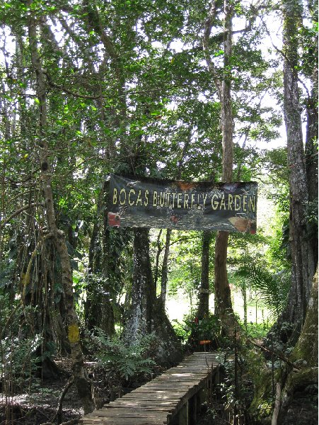   Bocas del Toro Panama Diary Sharing