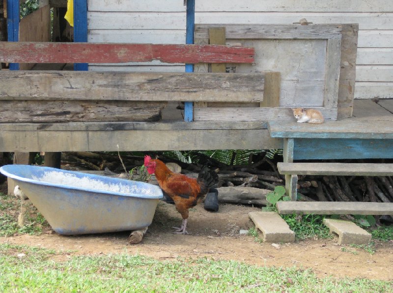 Bocas del Toro Panama 