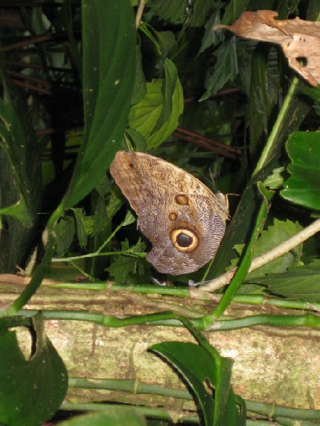   Bocas del Toro Panama Diary Photography
