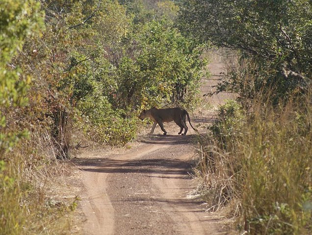 Benin Wildlife Safari Tour Tanguieta Review Sharing