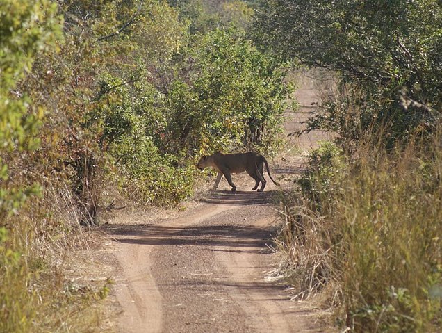 Benin Wildlife Safari Tour Tanguieta Review Sharing