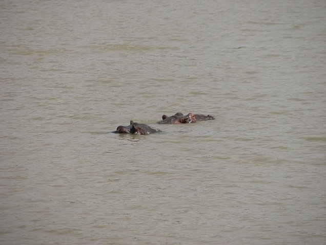 Tanguieta Benin 