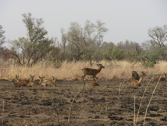   Tanguieta Benin Diary Information