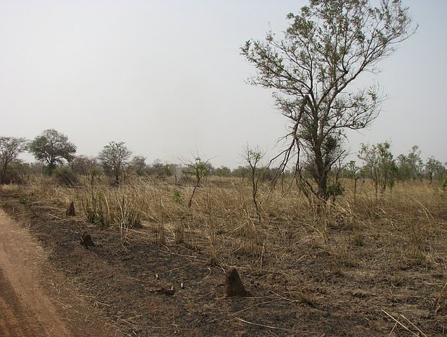   Tanguieta Benin Photo Gallery