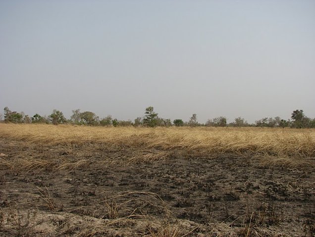 Benin Wildlife Safari Tour Tanguieta Holiday Review