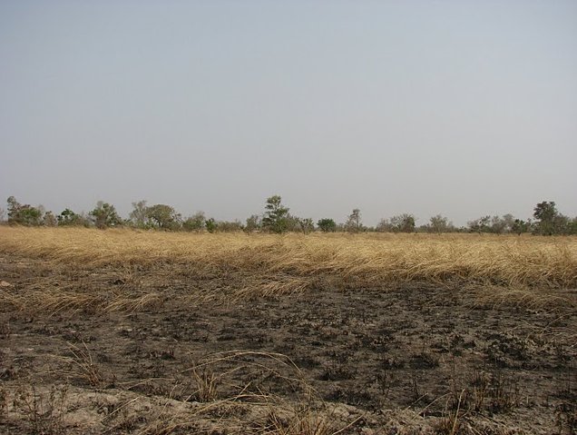 Tanguieta Benin 