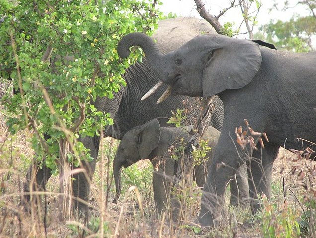 Tanguieta Benin 