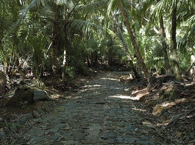 French Guiana Islands Cayenne Photography