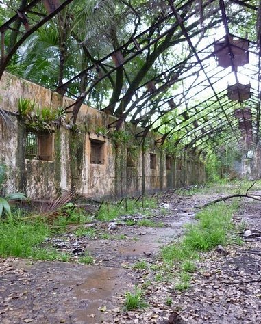 French Guiana Islands Cayenne Picture