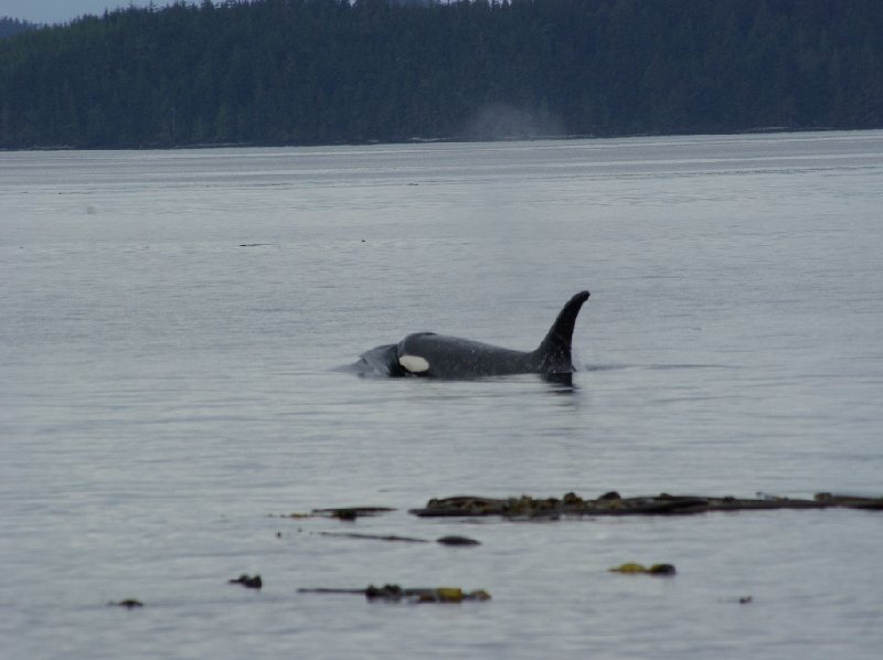 Vancouver Canada 