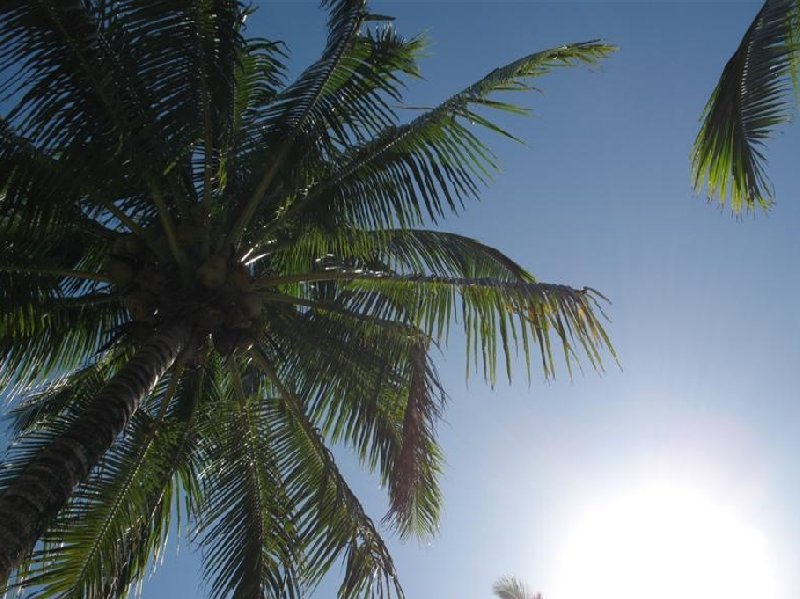 Nikao Cook Islands 