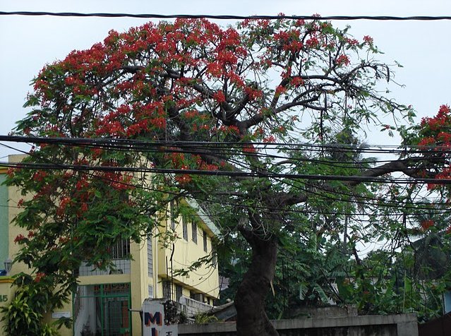 Port-au-Prince Haiti 